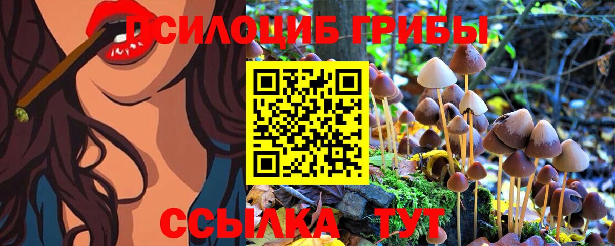 купить наркотики сайты  Вход с VPN  Избербаш  Галлюциногенные грибы GOLDEN TEACHER 